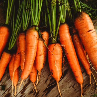 Danvers Heirloom Carrot