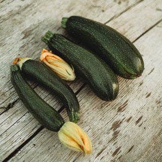 Dark Green Zucchini
