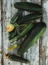 Dark Green Zucchini