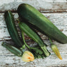 Dark Green Zucchini