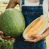 Desert King Watermelon