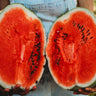 Dixie Queen Watermelon