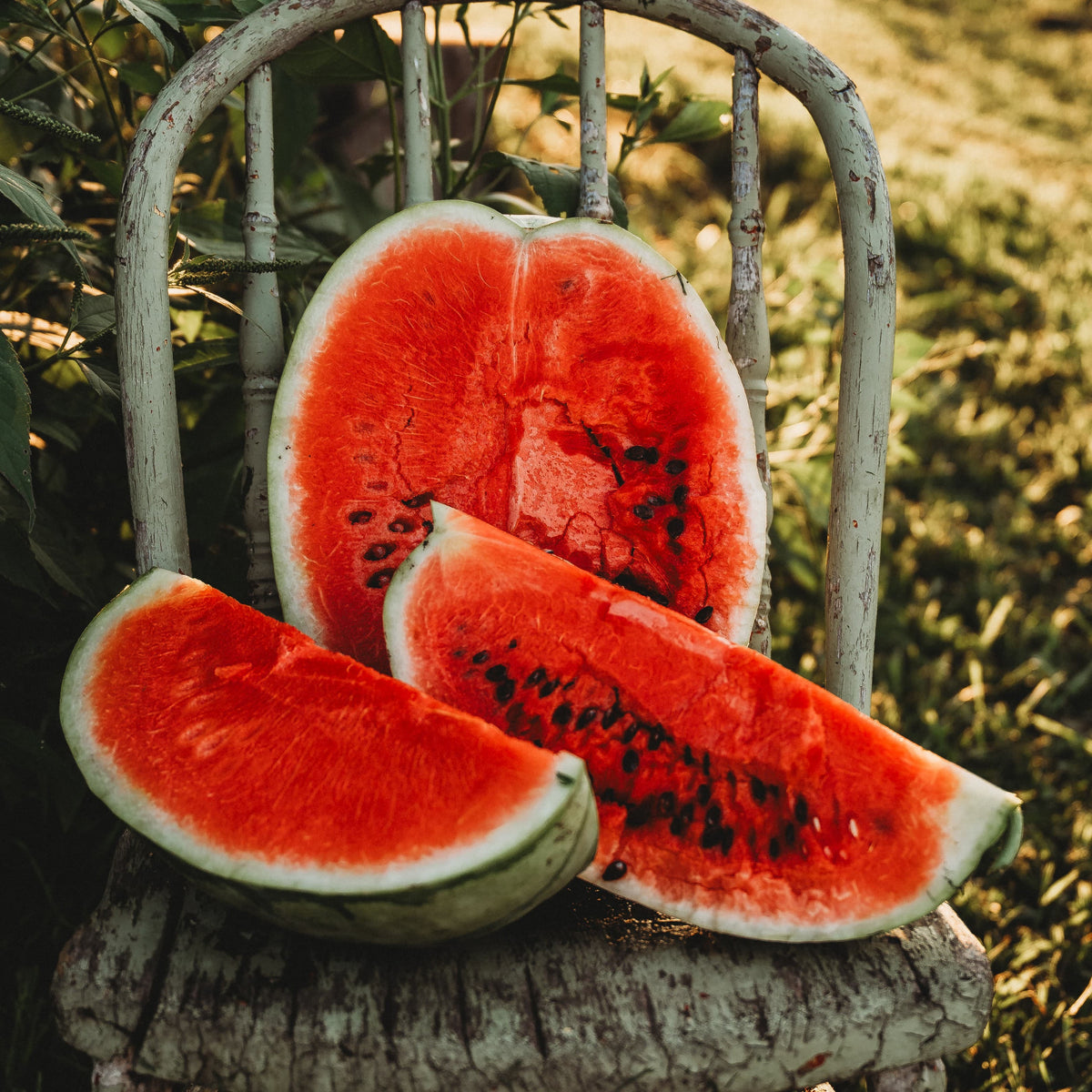 Dixie Queen Watermelon