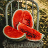 Dixie Queen Watermelon
