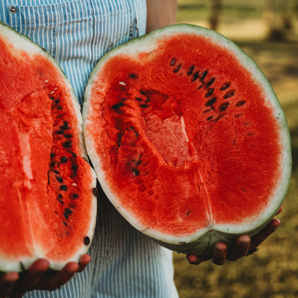 Dixie Queen Watermelon