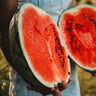 Dixie Queen Watermelon