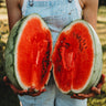 Dixie Queen Watermelon