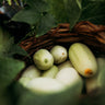 Dragon's Egg Cucumber