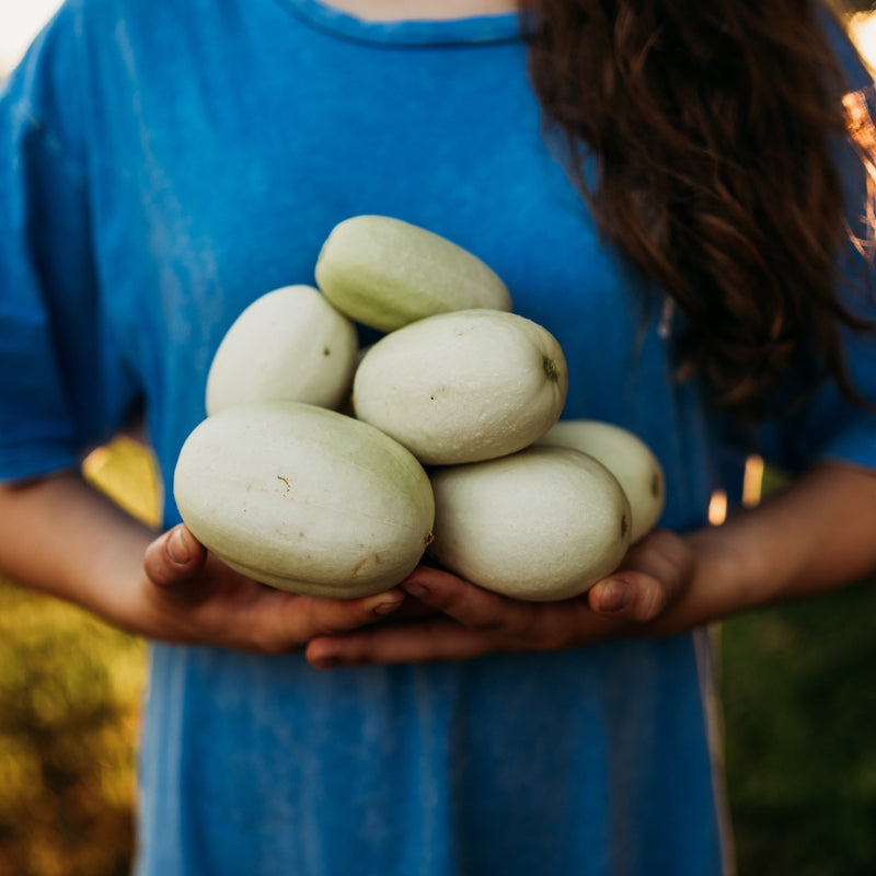 Dragon's Egg Cucumber
