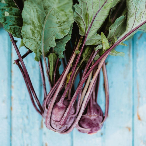 Early Purple Vienna Kohlrabi Seeds
