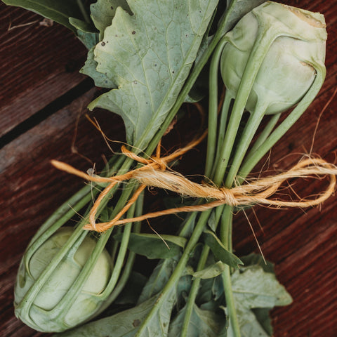 Early White Vienna Kohlrabi Seeds
