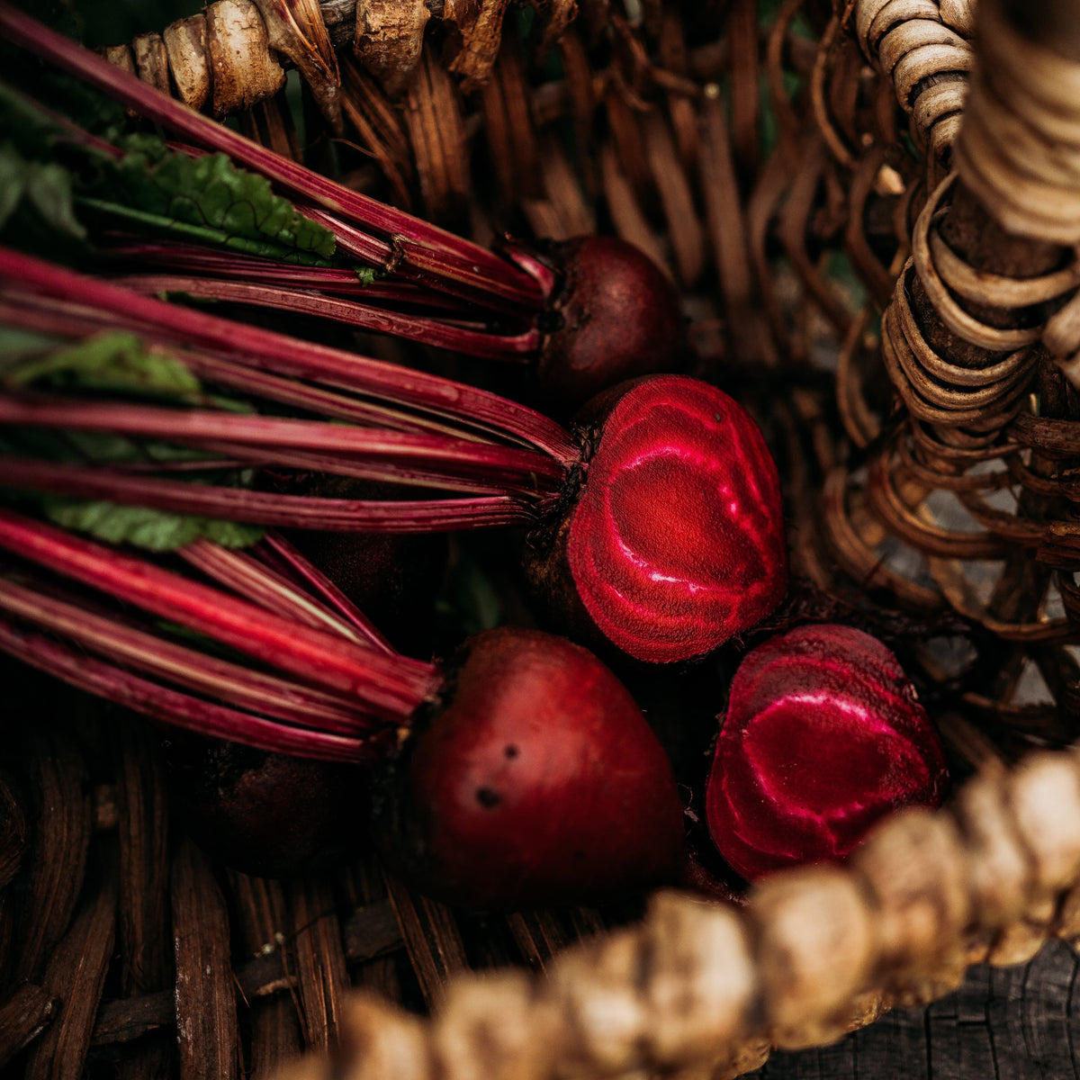 Early Wonder Beet