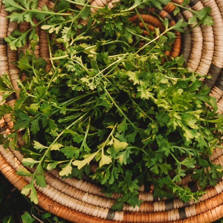 garden cress seeds nutrition facts Garden Cress