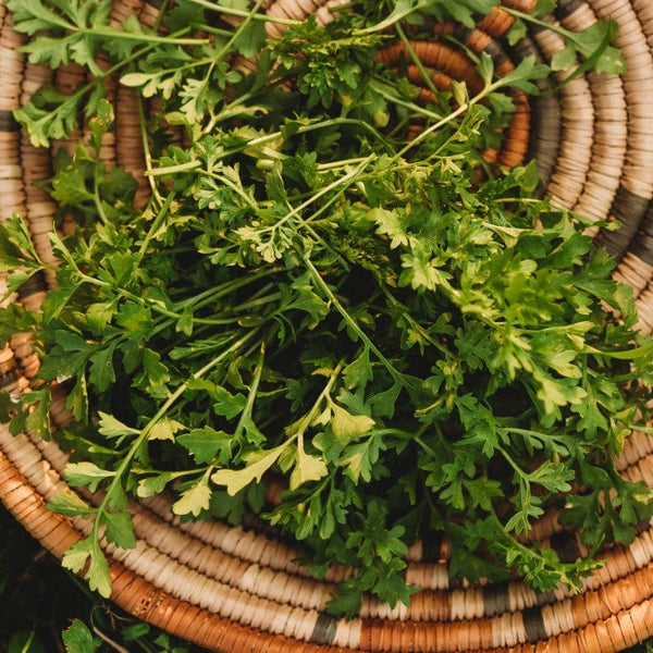 is garden cress seeds same as flaxseed Garden Cress