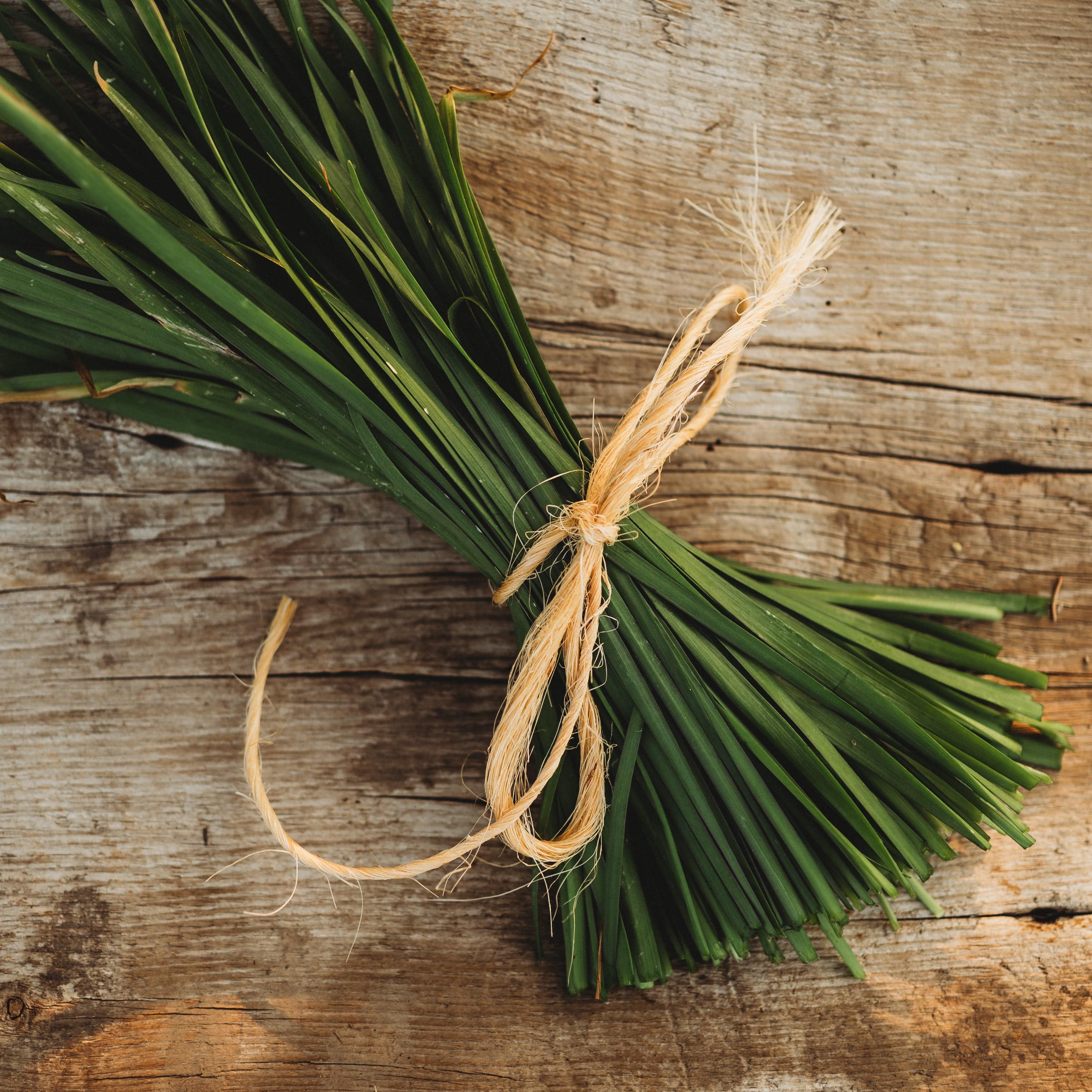 Garlic Chives Seeds
