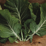 Georgia Southern Heirloom Collard Greens