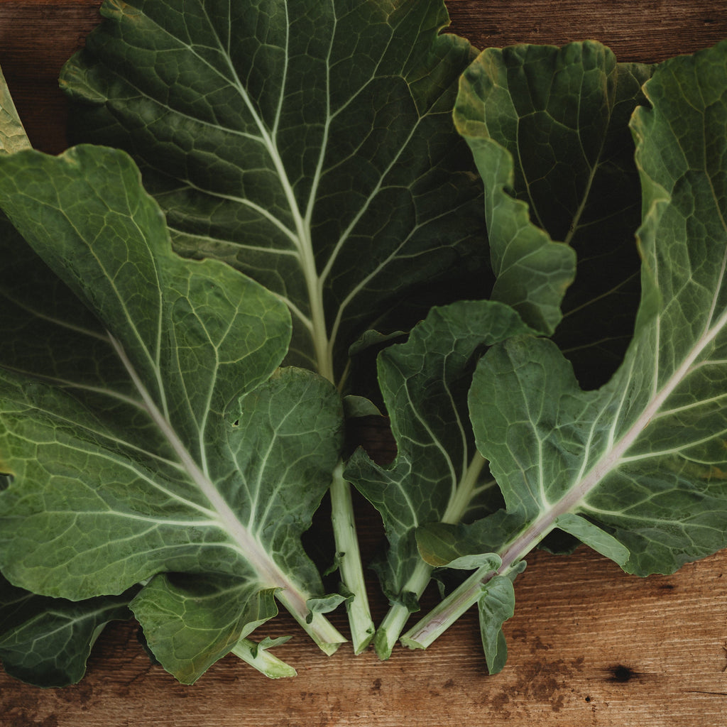 Georgia Southern Heirloom Collard Greens Seeds