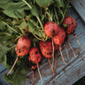 German Giant Radish
