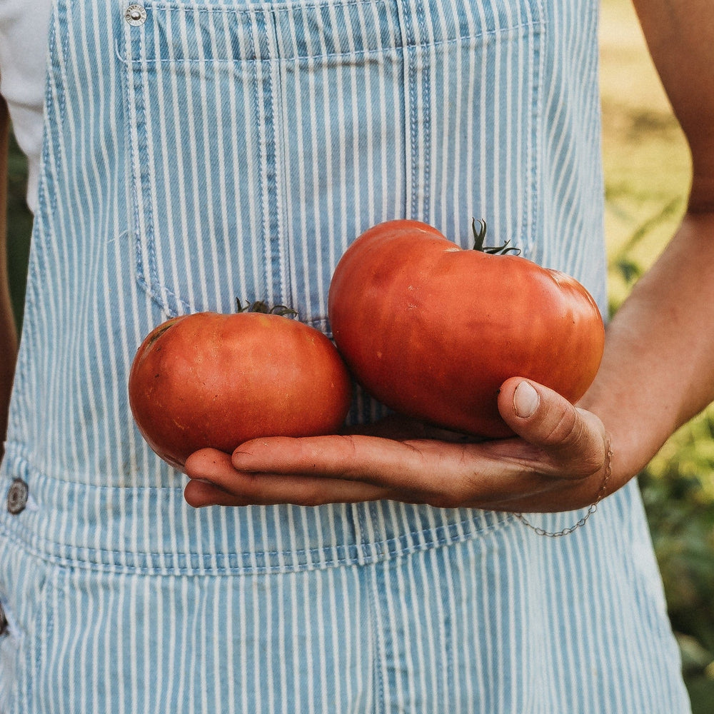 German Johnson Tomato