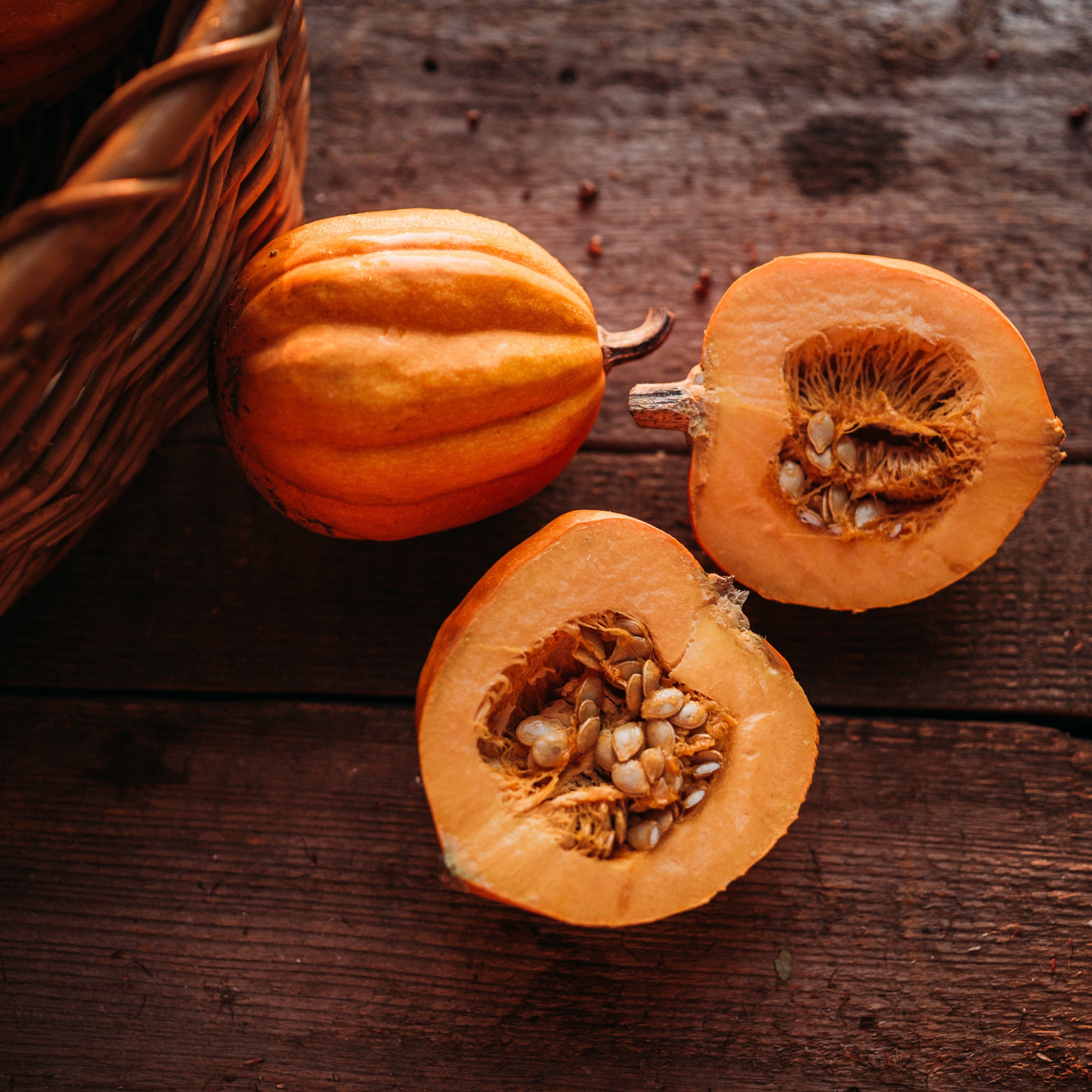 Gill's Golden Pippin Squash - Thresh Seed Co.