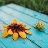 Gloriosa Daisy