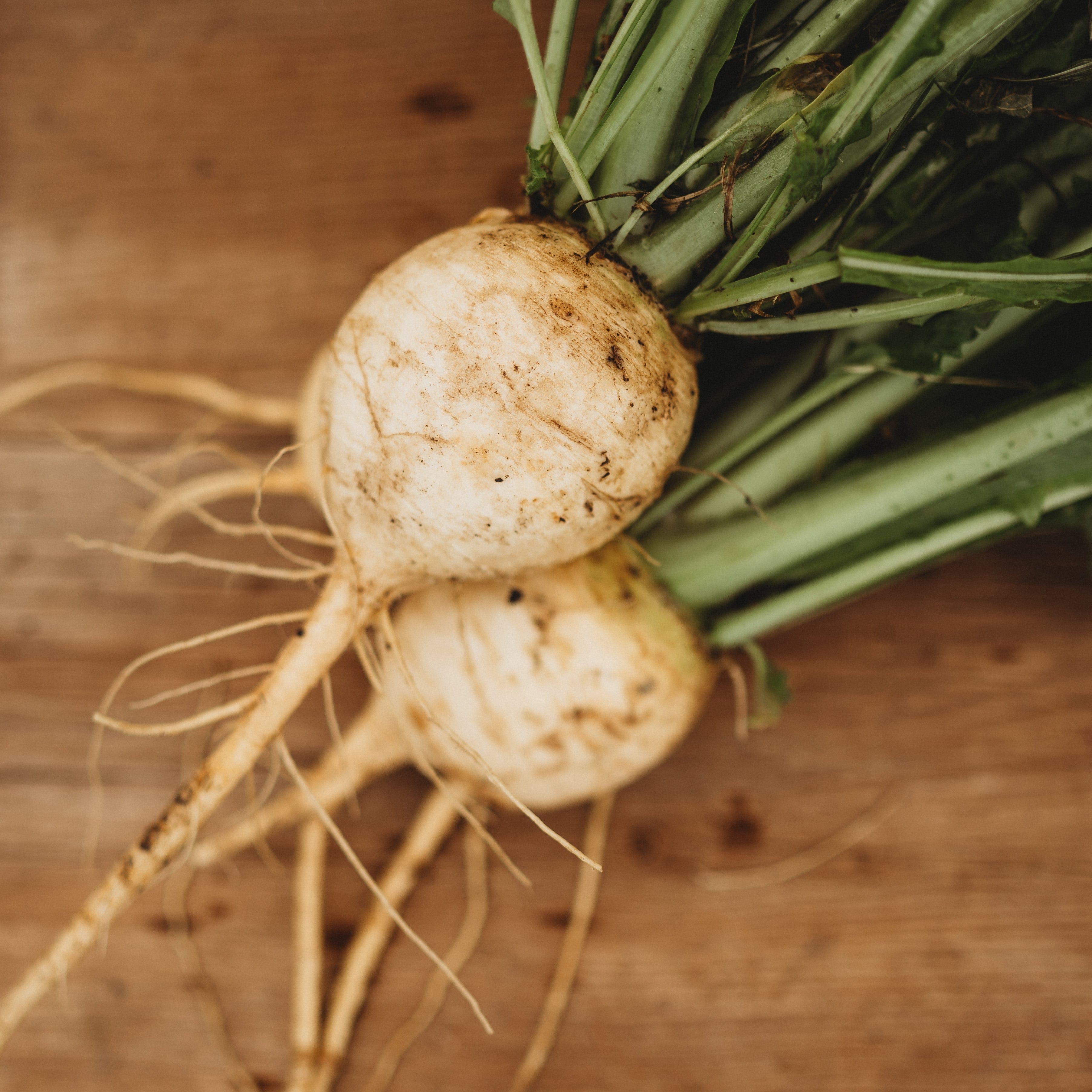 Gold Ball Turnip Seeds