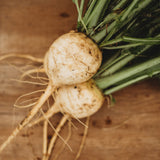 Gold Ball Turnip Seeds