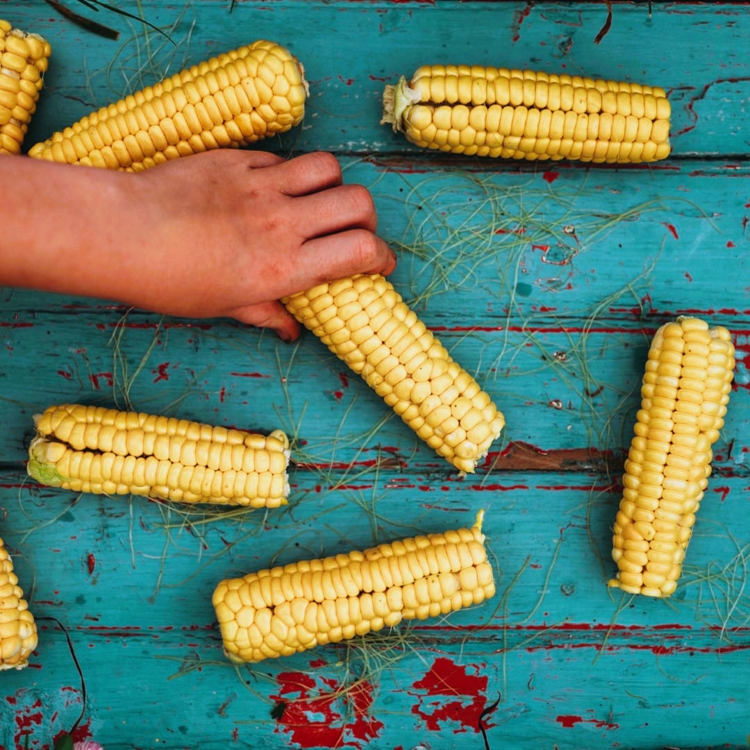 Golden Bantam 8-row Sweet Corn Seeds