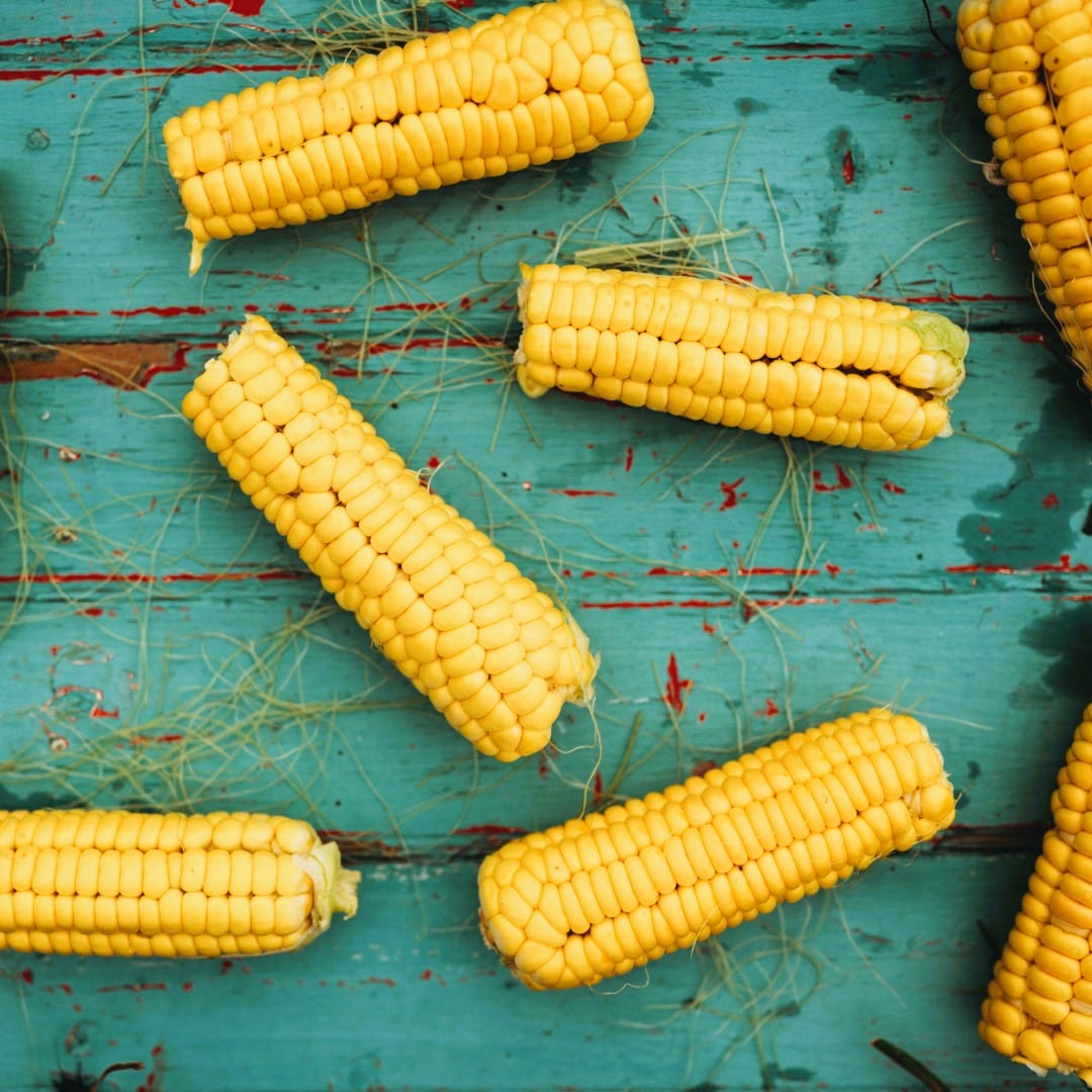 Golden Bantam 8-row Sweet Corn Seeds
