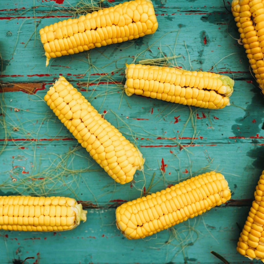 Golden Bantam 8-row Sweet Corn