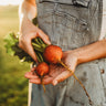 Golden Detroit Beet