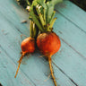 Golden Detroit Beet