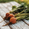 Golden Detroit Beet