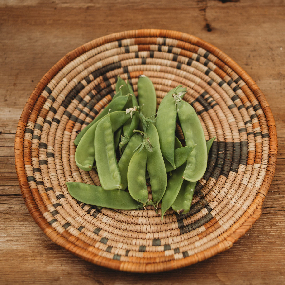 Green Beauty Snow Pea