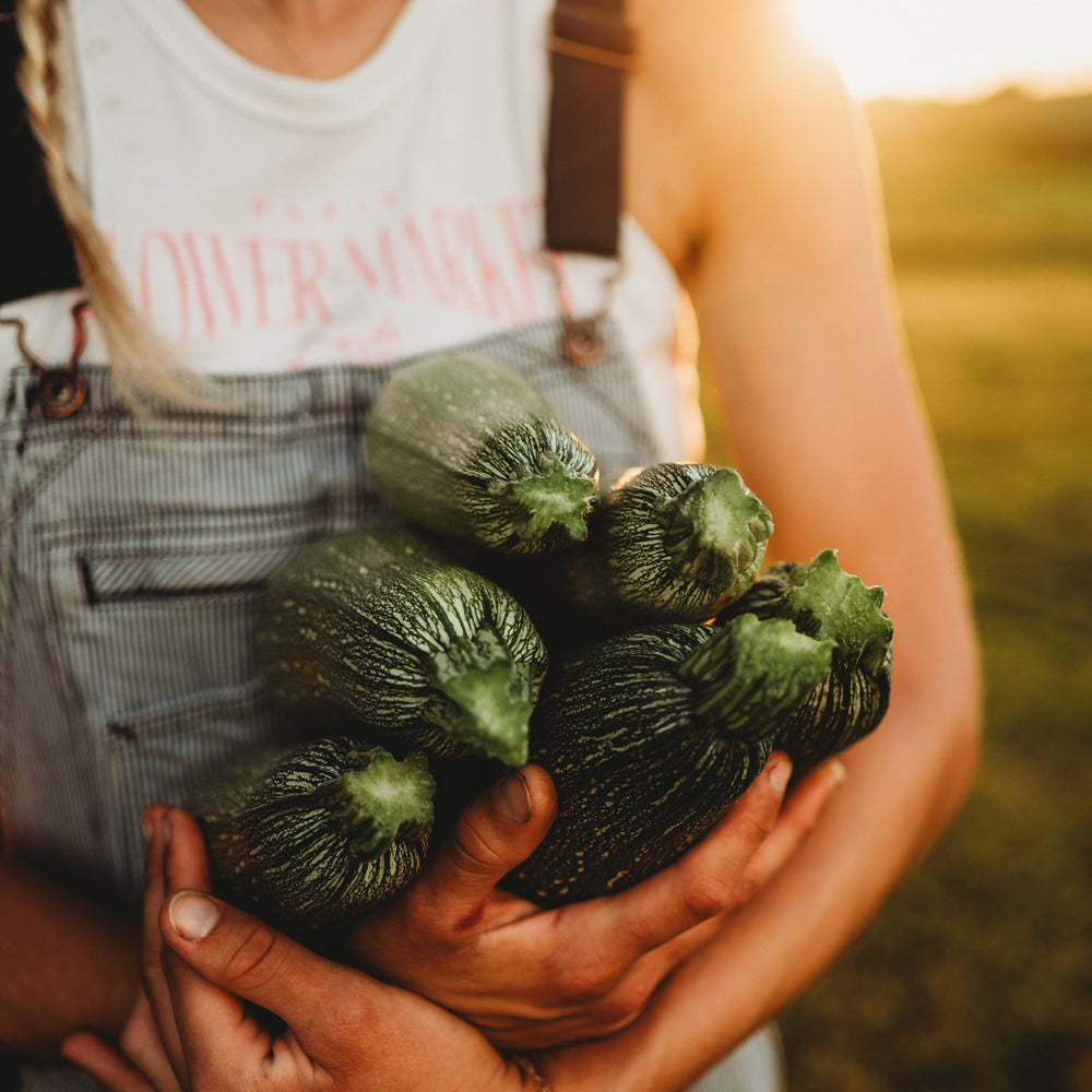 Grey Zucchini