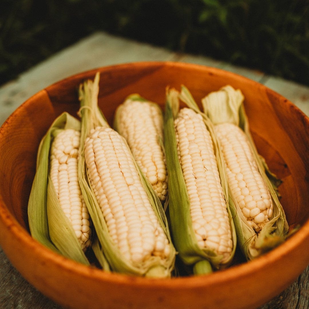 Hayes White Sweet Corn Seeds