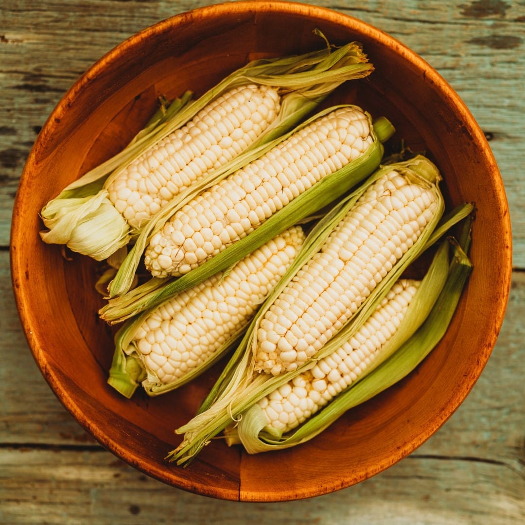 Hayes White Sweet Corn Seeds