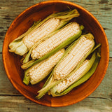 Hayes White Sweet Corn Seeds