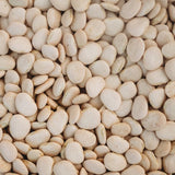 Henderson's Bush Lima Bean Seeds