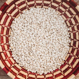 Henderson's Bush Lima Bean Seeds