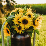Henry Wilde Sunflower