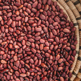 Hidatsa Red Shelling Bean Seeds