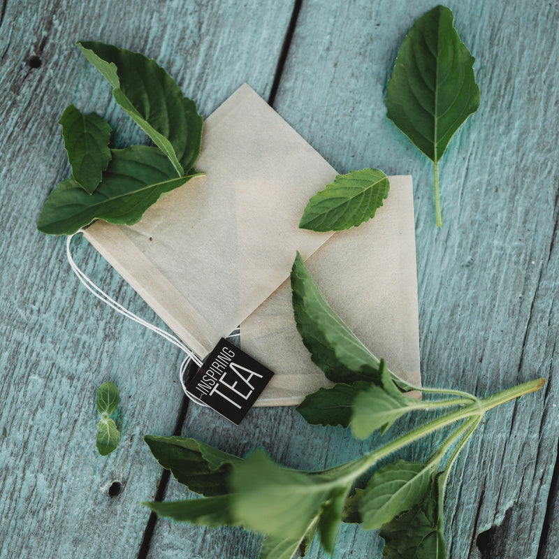 Holy Basil (Tulsi)