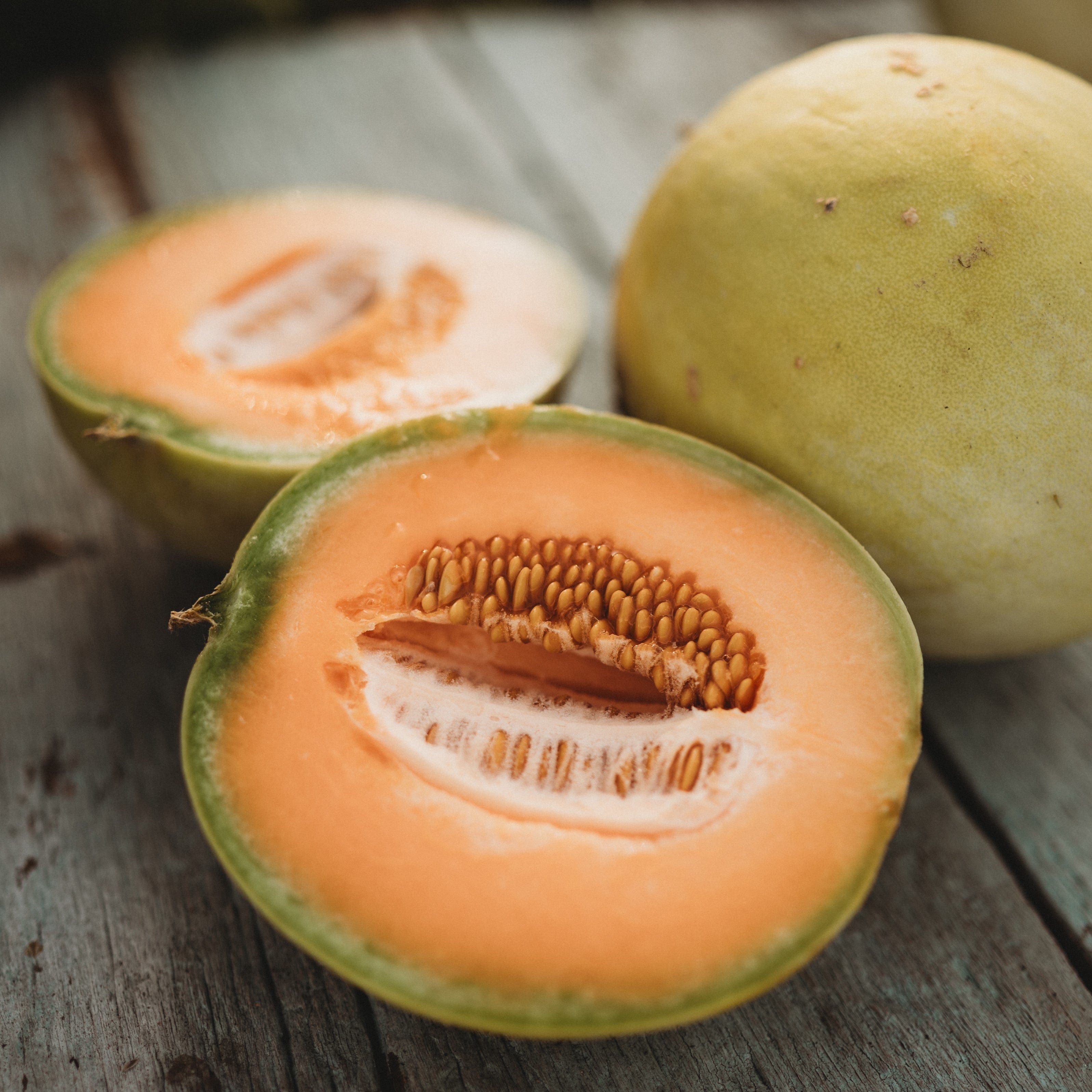 Honeydew Orange Flesh - Thresh Seed Co.