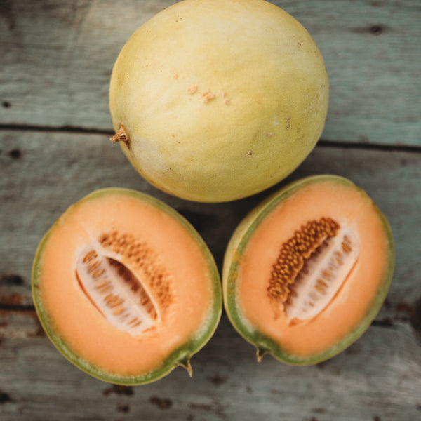 plant honeydew seeds Honeydew Orange Flesh
