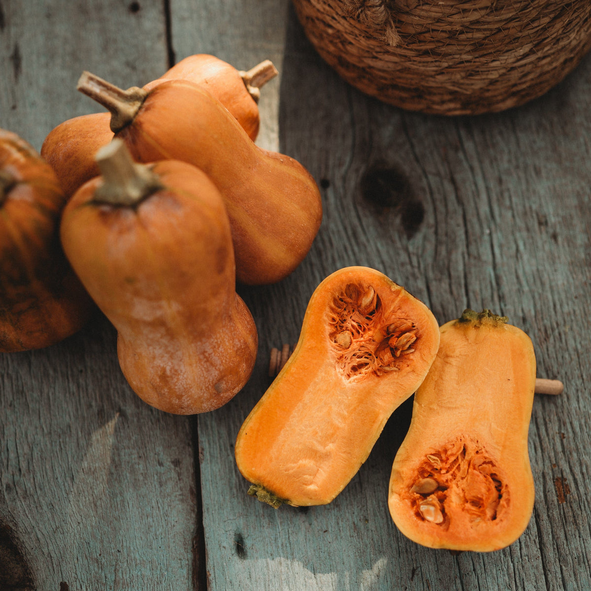 Honeynut Butternut Squash