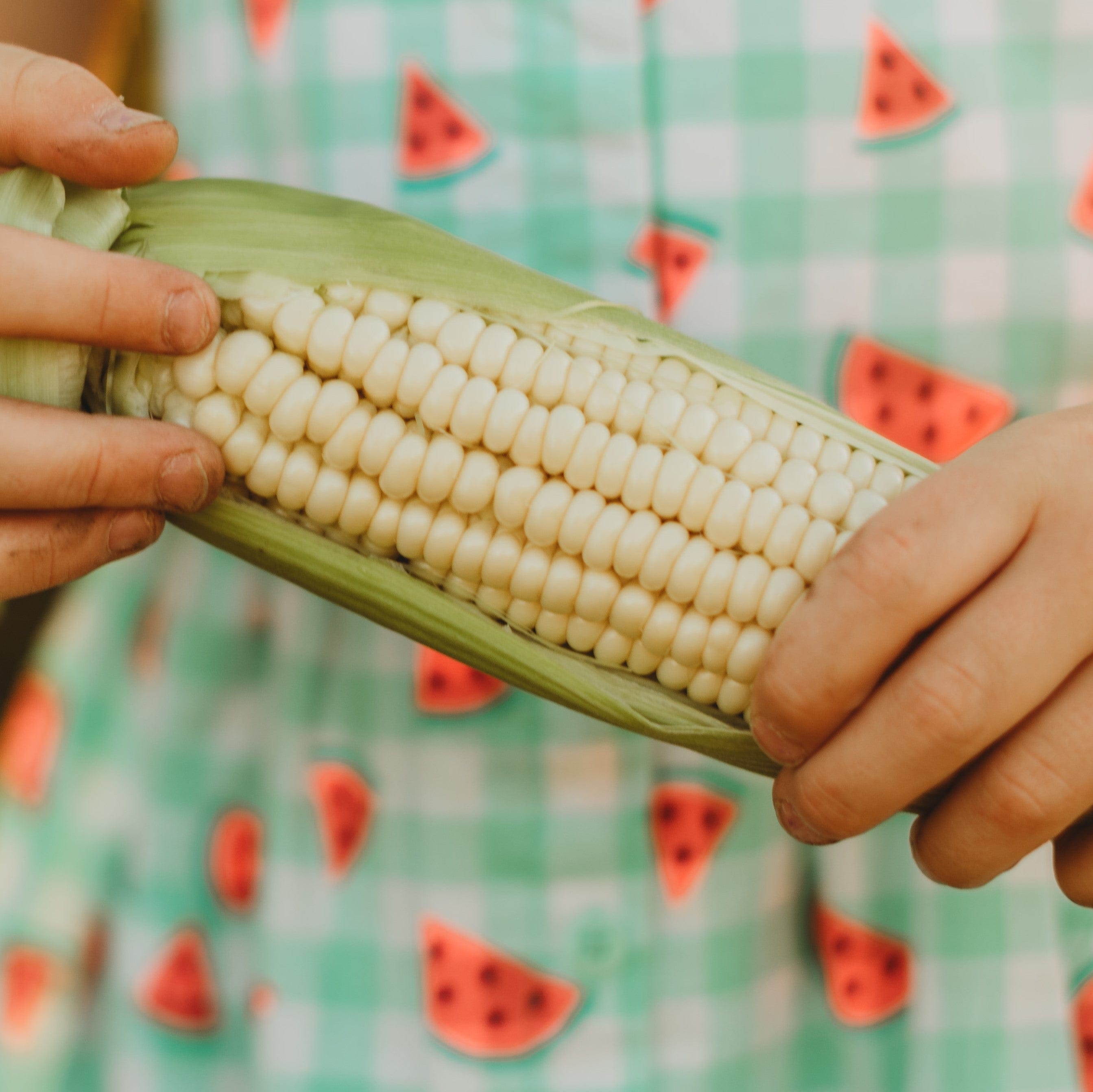 Howling Mob Heirloom Sweet Corn Seeds