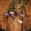 Pincushion Flower (Scabiosa) Imperial Mix