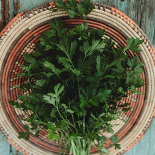 Italian Flat Leaf Parsley