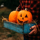 Jack-O-Lantern Pumpkin Seeds